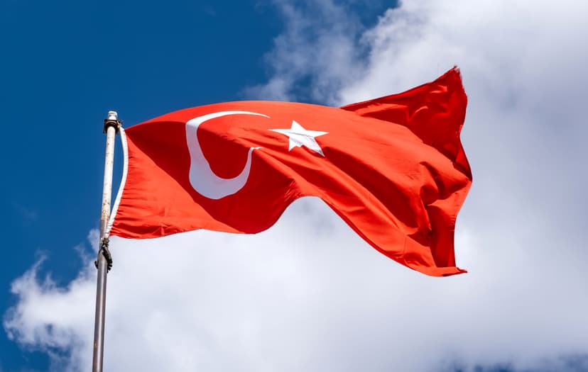 Comprehensive Guide: Establishing a Company in Turkey